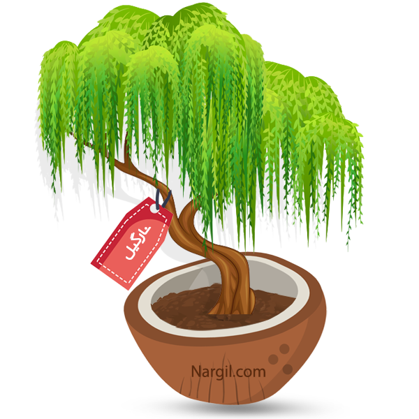  Nargil - Weeping Willow